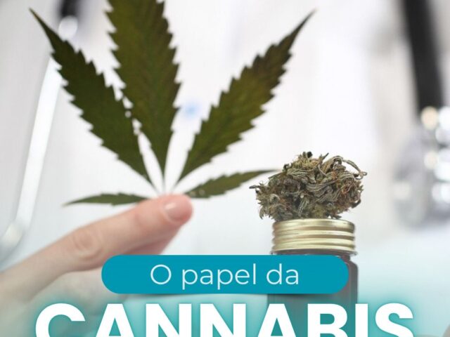 o papel da cannabis