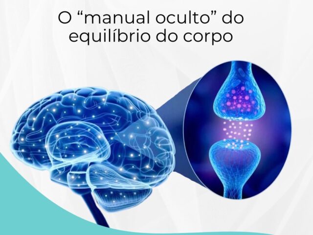 Sistema endocanabinoide